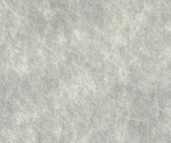 Ubi sunt commoda PP decorativa pellicularum?