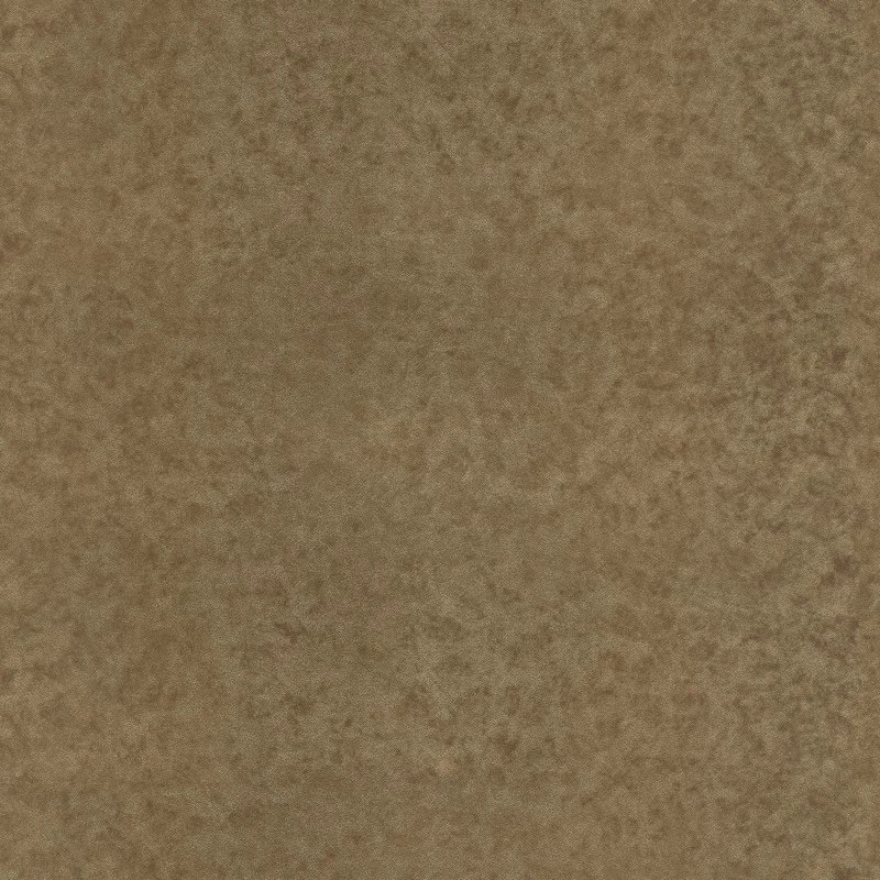 Aliquam PD PVC PP exornantur amet