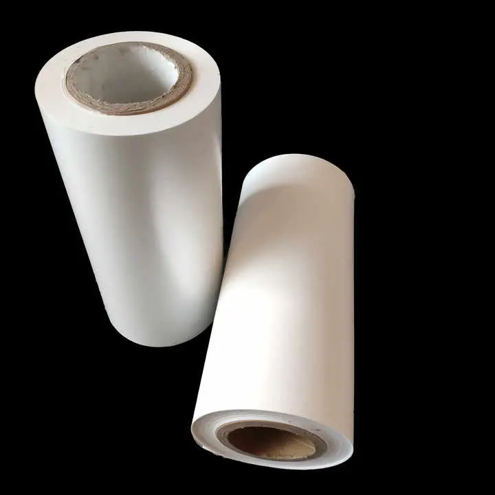 Polyester mylar pet film ad tecta et versatile