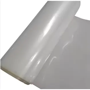 Transparent pet mollis plastic amet